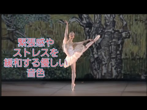 緊張感　ストレスを　緩和　【バレエ】【ballet】