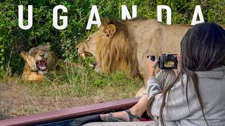 Unbelievable Uganda Safari  - Kibale and Queen Elizabeth National Park