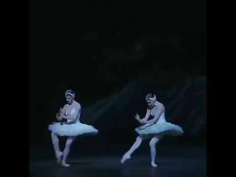 これも有名な曲ですねー　【バレエ】【ballet】