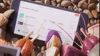 Zoopla TV ad - AgentFinder 10"