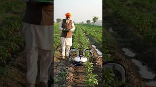 Every seedling counts 🌱🤖In Punjab’s rich nursery beds  a farmer and his transplanting robot work