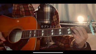 カブトムシ/aiko 弾き語りcover