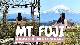 MOUNT FUJI JAPAN | Hiring a car, things to do and places to eat in Fujikawaguchiko (Japan Vlog)