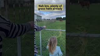 Feeding horse fail 😫🍃🐴 #fail #failvideo #horse #shorts