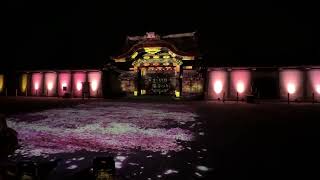 京都二条城樱花光影