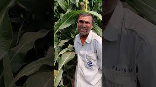 গ্রামের কৃষকের মজার কথা  #shorts #myfirstvlog