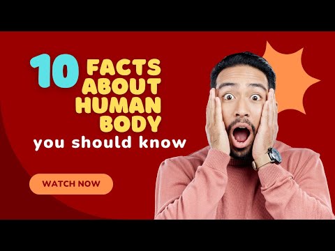 10 Mind Blowing Facts About the Human Body |Ultimate Fact |