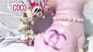 ［🐷豬香氛彩繪皂］#一中打卡熱點