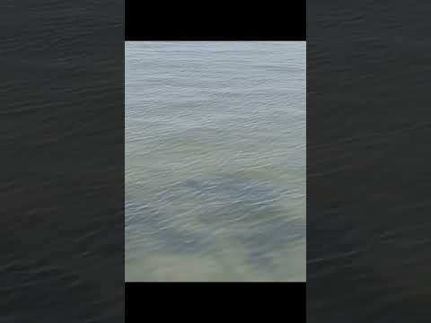 Waves