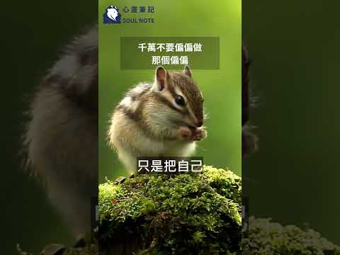 千萬不要偏偏做那個偏偏-#心靈 #心靈雞湯 #正能量 #成長 #思維
