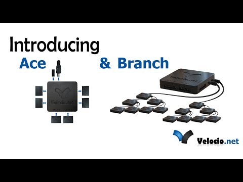 Ace and Branch Introduction