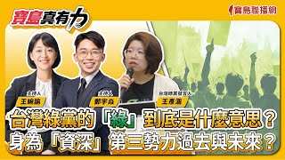 【寶島真有力】台灣綠黨的「綠」到底是什麼意思？身為「資深」第三勢力過去與未來？│來賓：台灣綠黨發言人 王彥涵│王婉諭、鄭宇焱 主持 2024/11/11