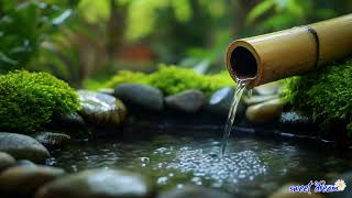 Light piano music｜Silent melody・Relax and help you fall asleep peacefully