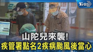 山陀兒來襲! 疾管署點名2疾病颱風後當心｜TVBS新聞 @TVBSNEWS02