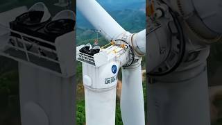 That’s how wind turbines generate electricity from wind energy