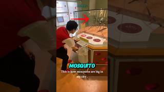Surviving a Giant Mosquito Bite Simulation!