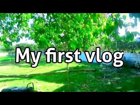 My first Vlog guys😊😊#viralvideo vlog❤❤