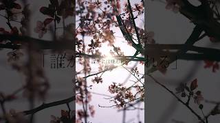 共感したらいいね押して教えてください👍#エモい曲 #オリジナル曲 #インディーズバンド #バンド #エモい