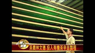 20111129茶農林文德 投入有機茶辛苦製程