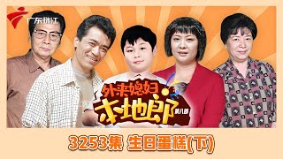 3253集 生日蛋糕(下)【外来媳妇本地郎】第九季