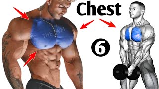 6 Chest Workouts at Gym for Bigger and Stronger Pecs