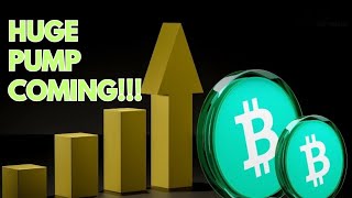 BITCOIN CASH (BCH) PRICE PREDICTION 2025 | SHOULD I BUY BITCOIN CASH NOW? | WHY IS BCH UP TODAY?