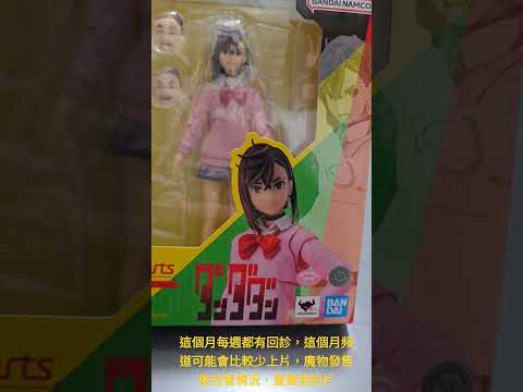 SHF 膽大黨的小桃入手，等厄卡倫發售……