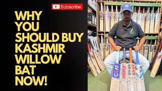 Why Should You Buy A Kashmir Willow Bat ? | Ai Sports Delhi | +919667010575