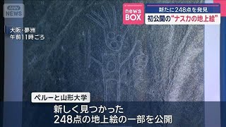 新たに248点を発見　“ナスカの地上絵”初公開【スーパーJチャンネル】(2025年7月28日)