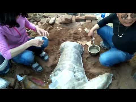 點仔膠-牆裡牆外