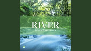 川のせせらぎと鳥のさえずり（自然音）
