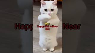Me : Happy Eid Is Near But 🥲😂... #subscribe #like #catlover  #exammemes #funnyshorts #shortfeed