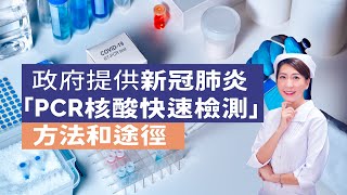 PCR快速測試：梁姑娘超快速解構（上集-政府提供PCR核酸檢測方法和途徑）