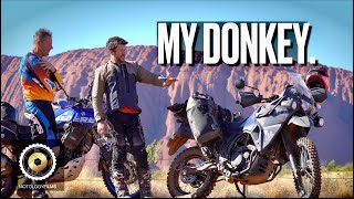 Why I'm buying a KLR 650 Adventure | The Desert Donkey Ep3