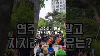 연주하다가 갑자기 자지러진 이유는? 캡컷 무료영상편집 어플 capcuttutorial shorts