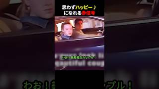 思わずハッピー♪になれる赤信号 #ほっこりショート