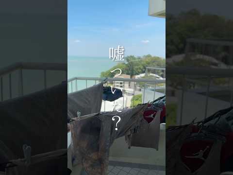 4月の月初ルーティンは海から家事をお届け。みんなは忘れずにいつものルーティンしてねん！生活音ASMR