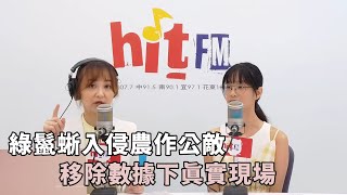 20250724《嗆新聞》陳家頤專訪劉亭妤 「綠鬣蜥入侵農作公敵 移除數據下真實現場」