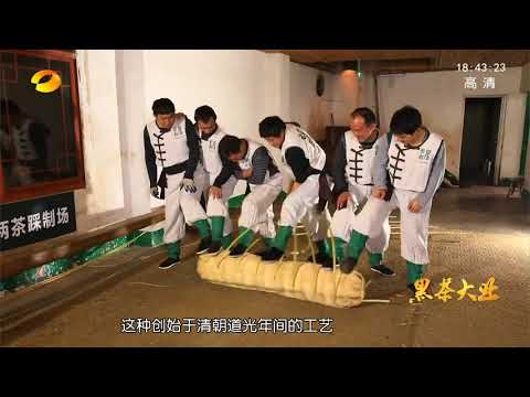 黑茶大業1：一片葉子飄香千年