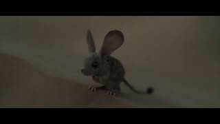 Muad’Dib (mouse) on Arrakis