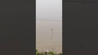 Ganga Flowing Above Danger Mark!