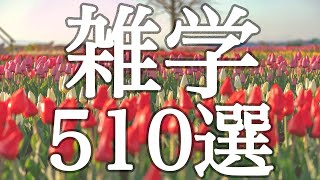 【睡眠用】聞き流すだけで即入眠💤おもしろ雑学５１０選【広告は最初のみ（途中広告なし）】