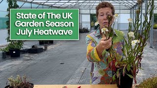 What Should You Be Doing With Perennials In The Heat Right Now? UK Gardening Season Update 2025