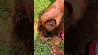 Replace Sprinkler Head in 5 Mins - Easy DIY Fix