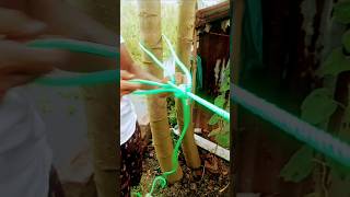 #ropemaster #shorts #ytshots #ropemagic #shortvideo #knotmaster #knot #rope  #ropework