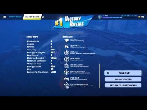 Fortnite_20240811134116