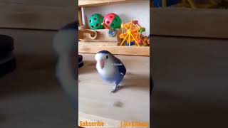 #worldofanimals #subscribe #shorts #viral #trending #viralshorts
