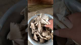 Kalungey 🍄‍🟫#mushroompicking #nature #villagelife