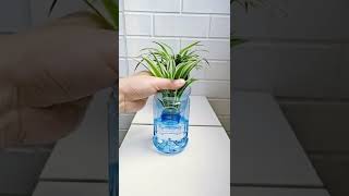 DIY Planning Idea 😍🪴💯   #techblogger #satisfying #techworld #artoftheday #newtech 