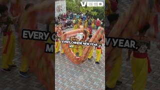 Chinese New Year magic #china #chinanewyear #chinatravel #viralshorts #history #chinafacts #shorts